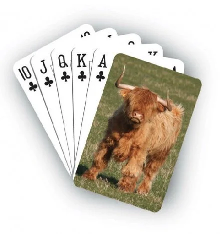 Playing Cards - Highland Cow (Coo)