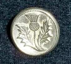 Small Pewter Thistle Button