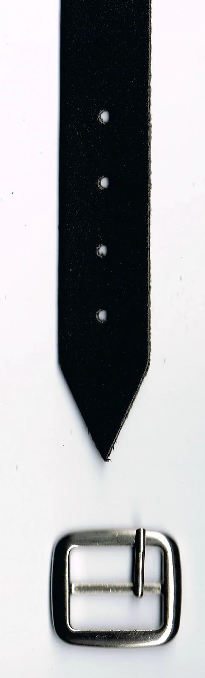 Medium 1"  Buckle and Strap