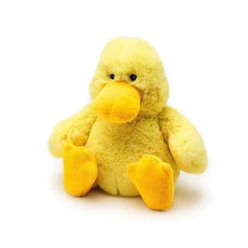 WMS-Duck.jpg (Copy)