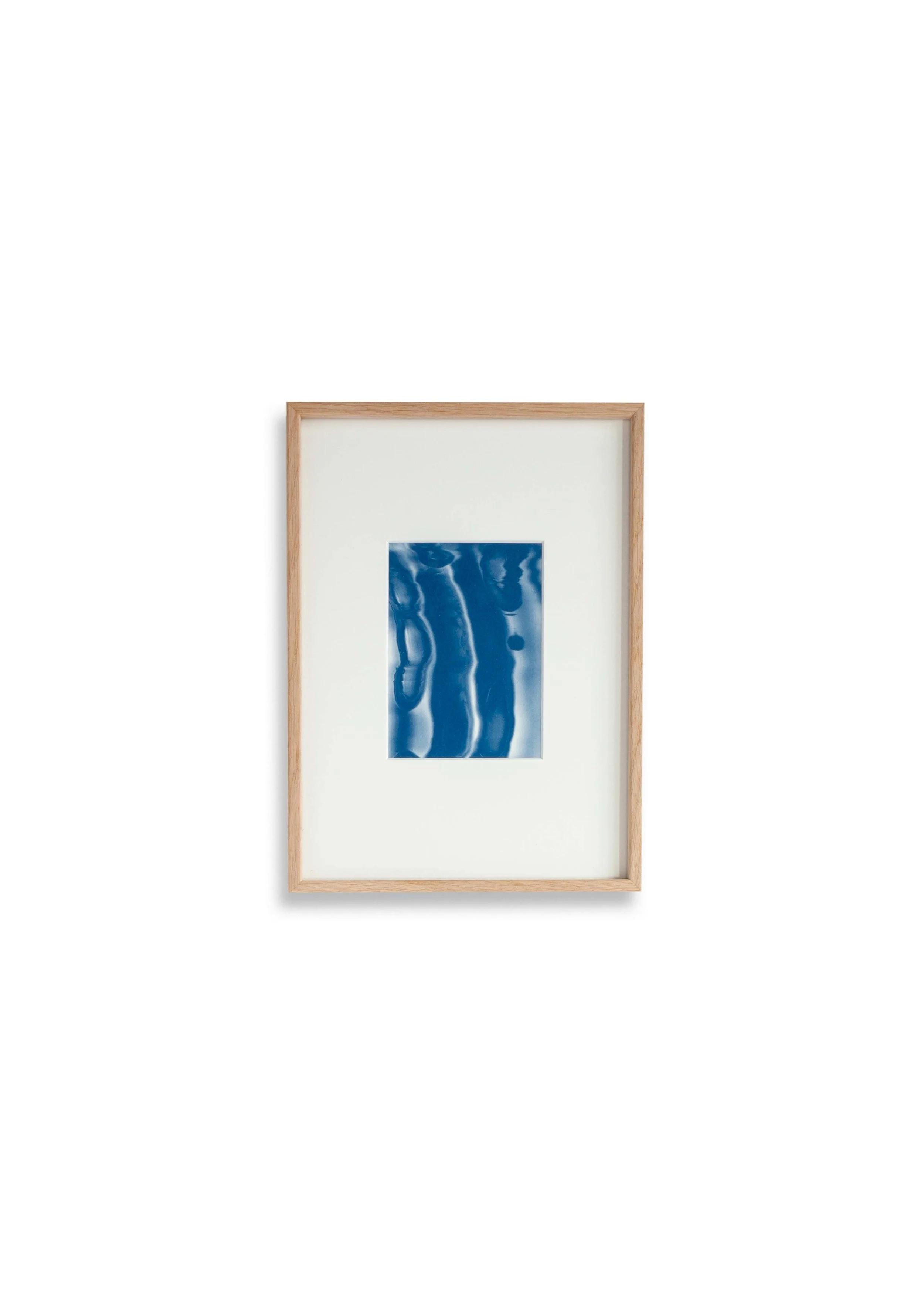 Trace_Cumatilis_xi_14x10cm_Cyanoype.jpg