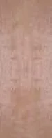 FlushBirch.jpg
