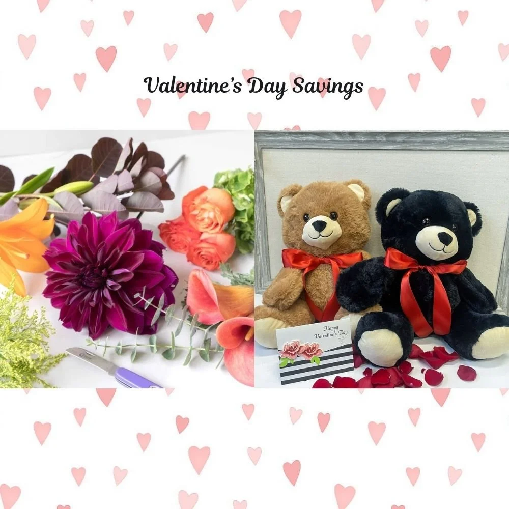 Valentine’s Day Savings (2).jpg