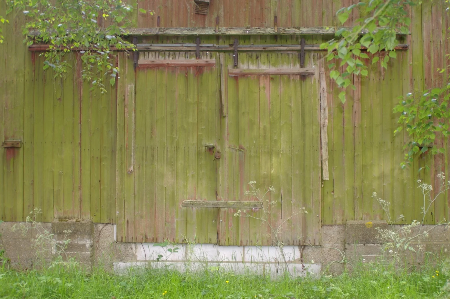 barn doors