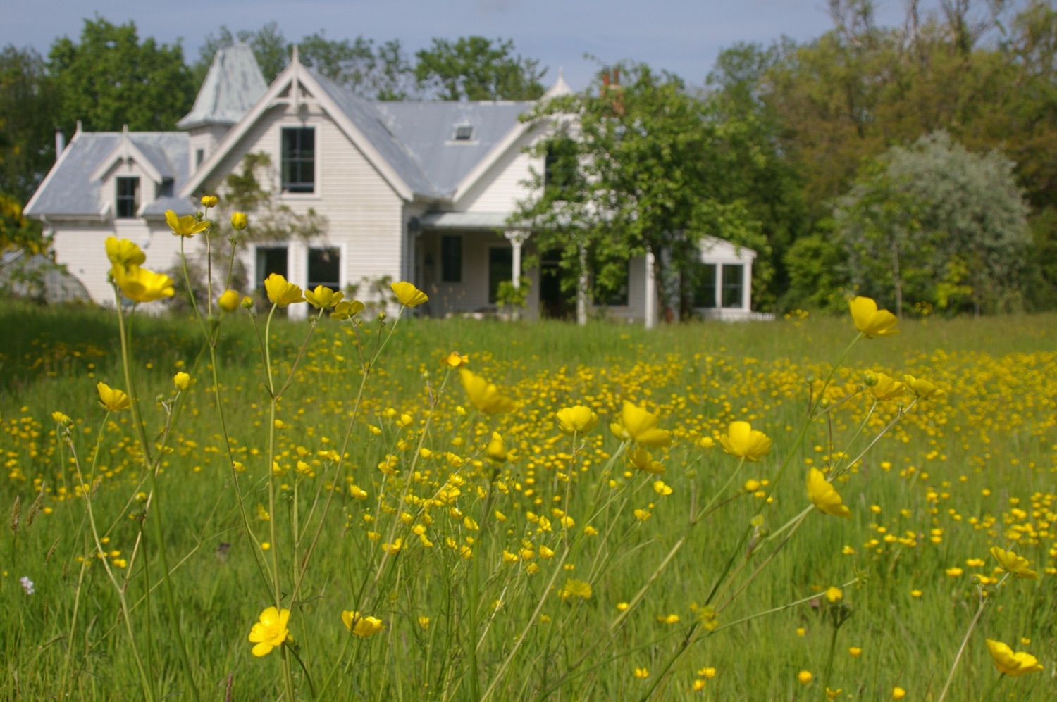 Colonial House