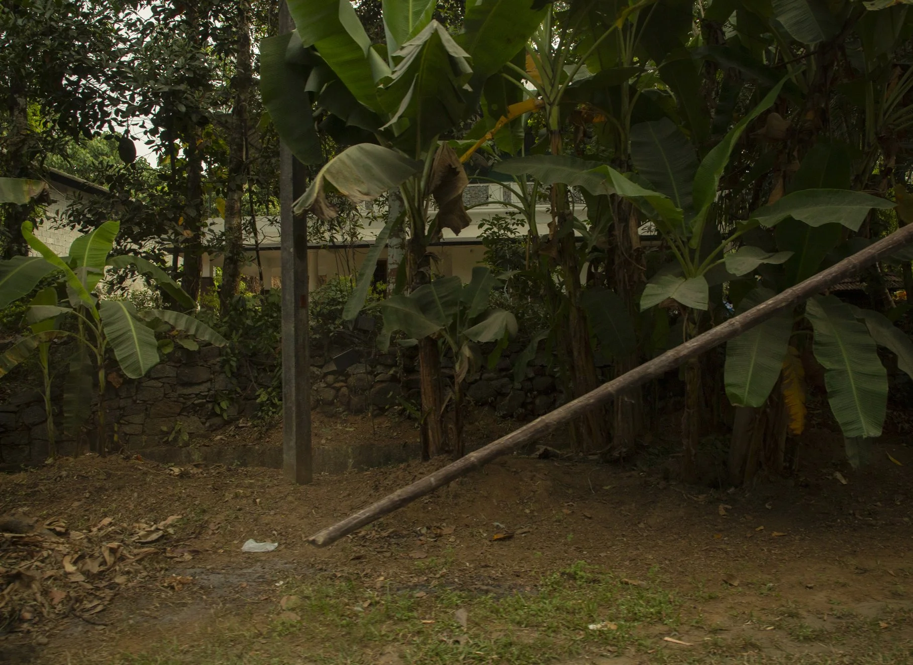 33_25-India_ManCaryingBamboo-left.jpg