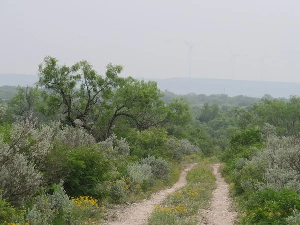 Dos Senderos Ranch