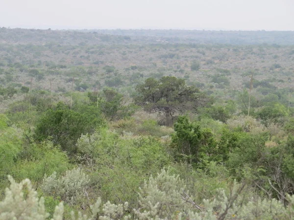 Wolf Springs Ranch
