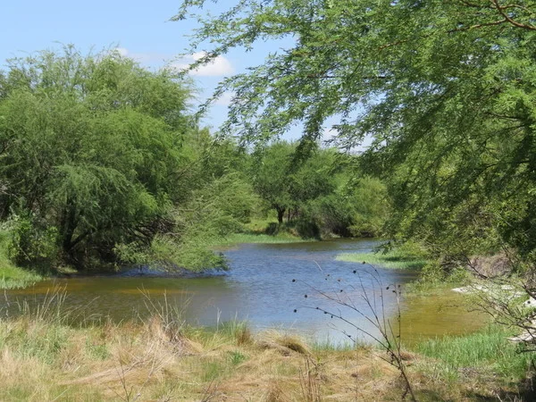 Cow Creek Ranch