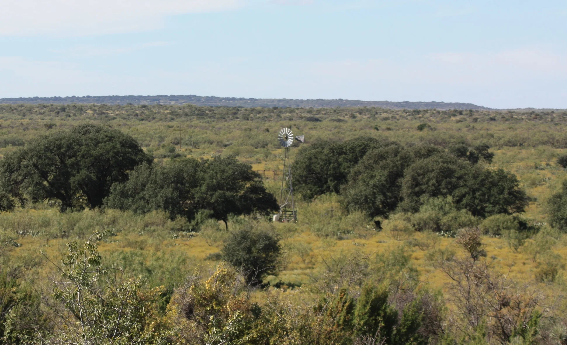 Mustang Creek Ranch