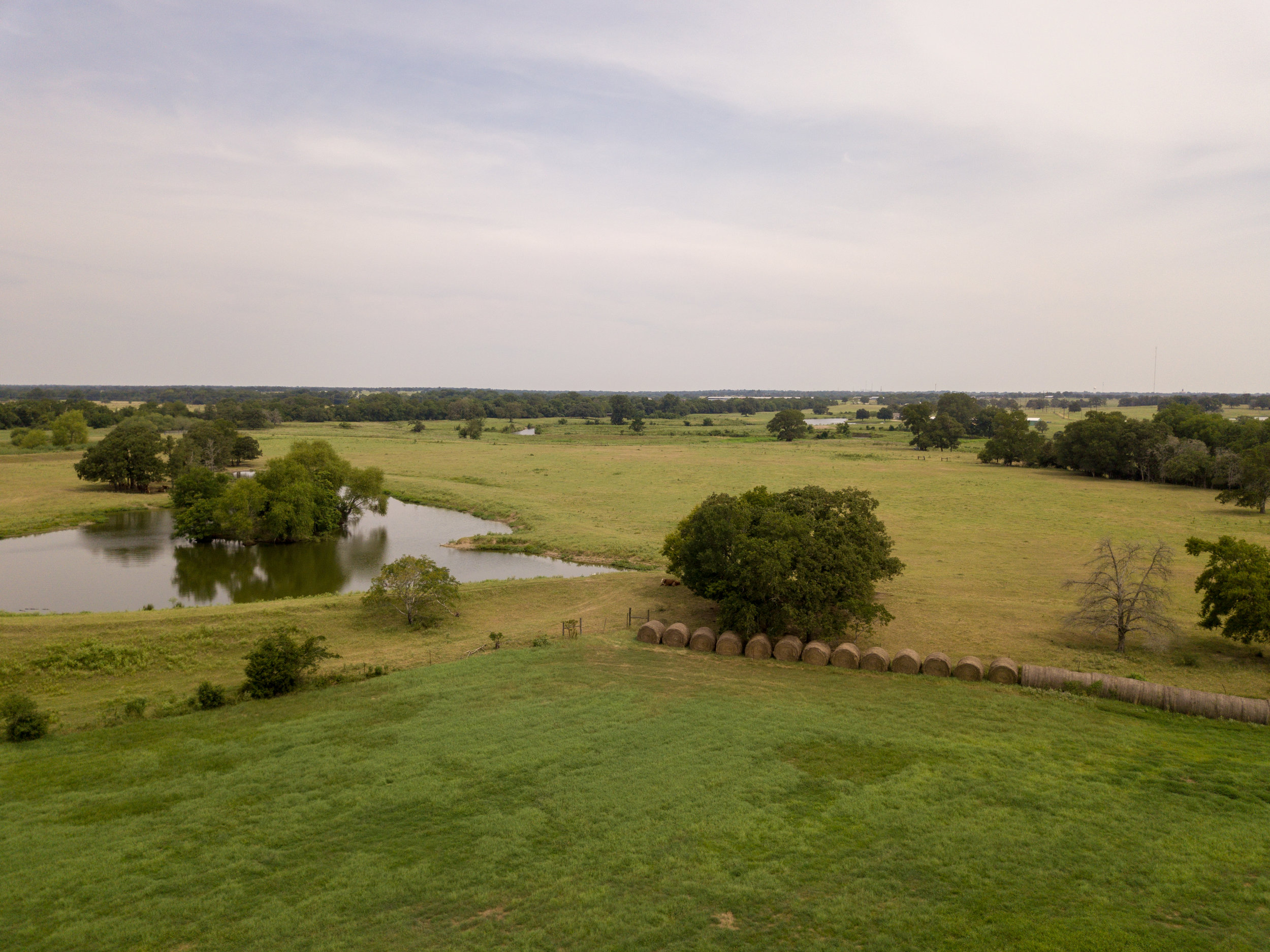 Giddings-12.jpg