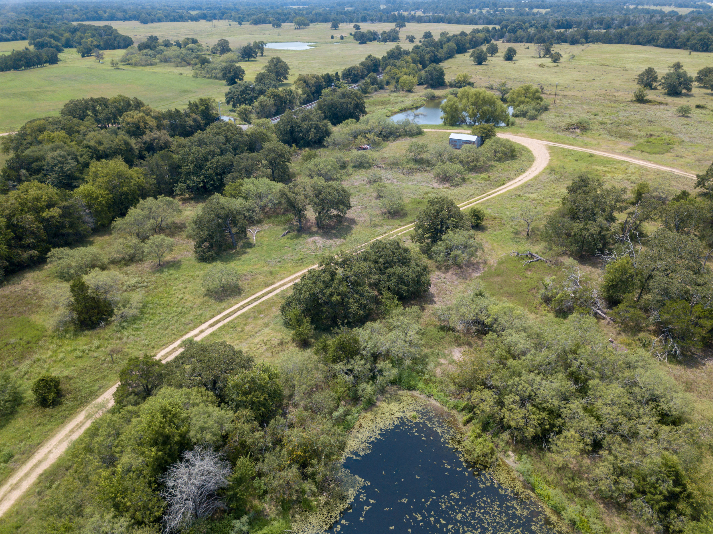 Giddings-21.jpg