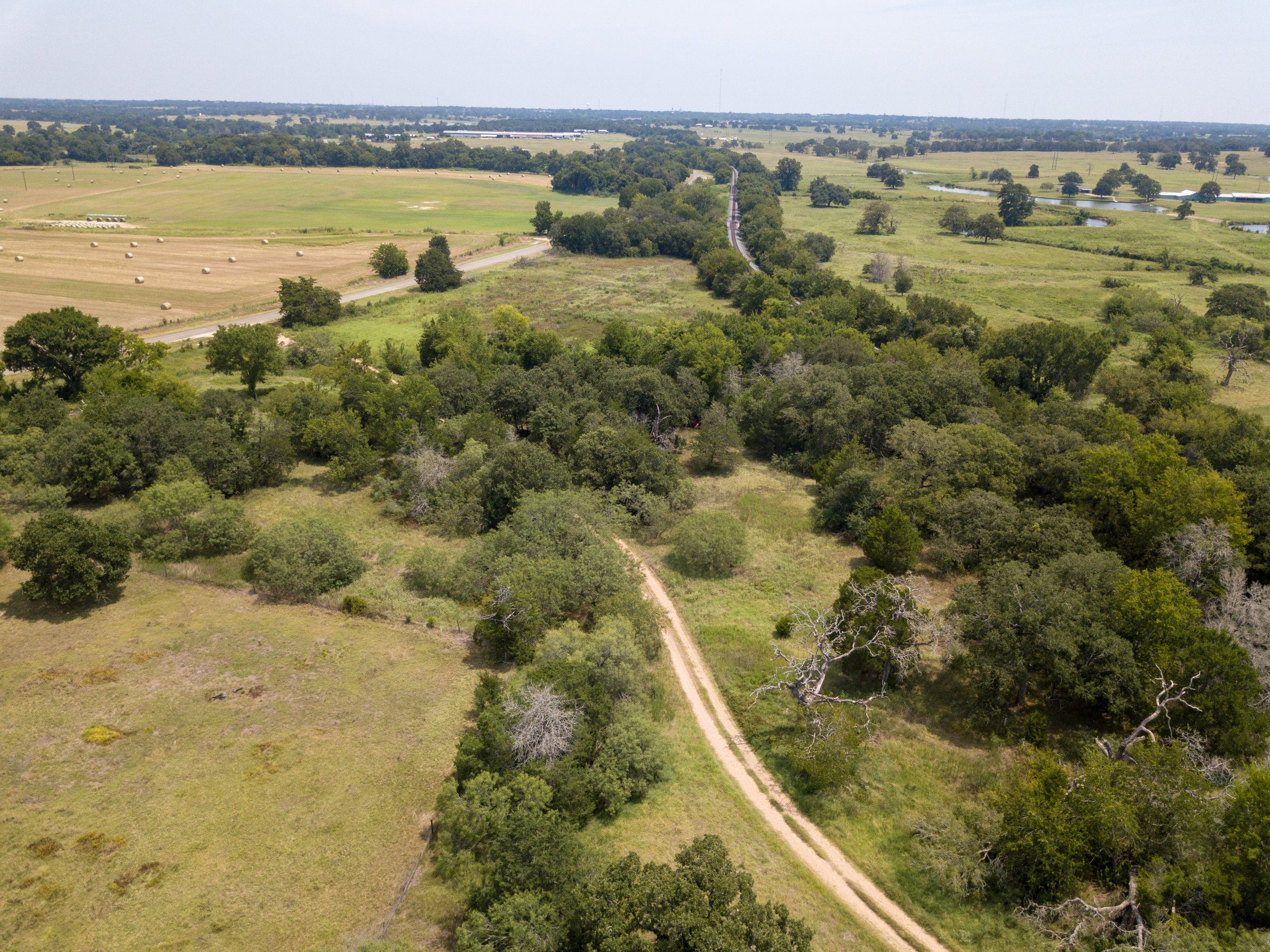 Giddings-22.jpg