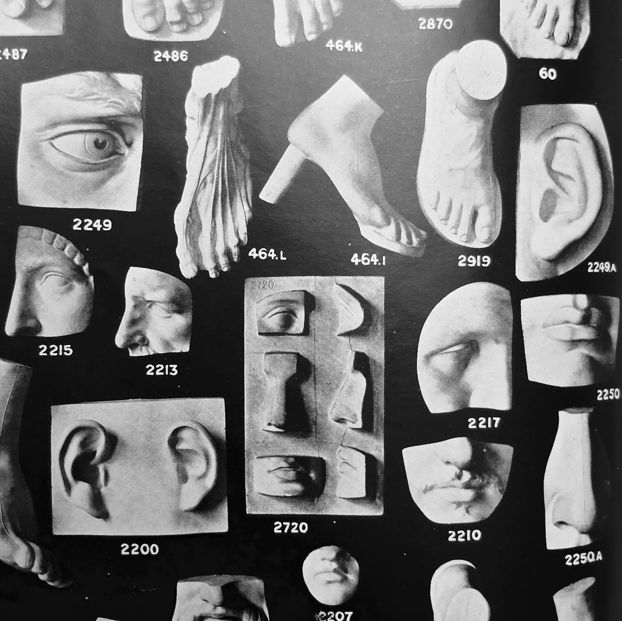 Detail from Catalogue of casts for schools which the Board of Education considers suitable for schools and classes receiving grants from it (London: Hudson &amp; Kearns, 1906), p. 22
.
.
.
#michalengelo
#brucciani 
#physicalculture
#sculpture