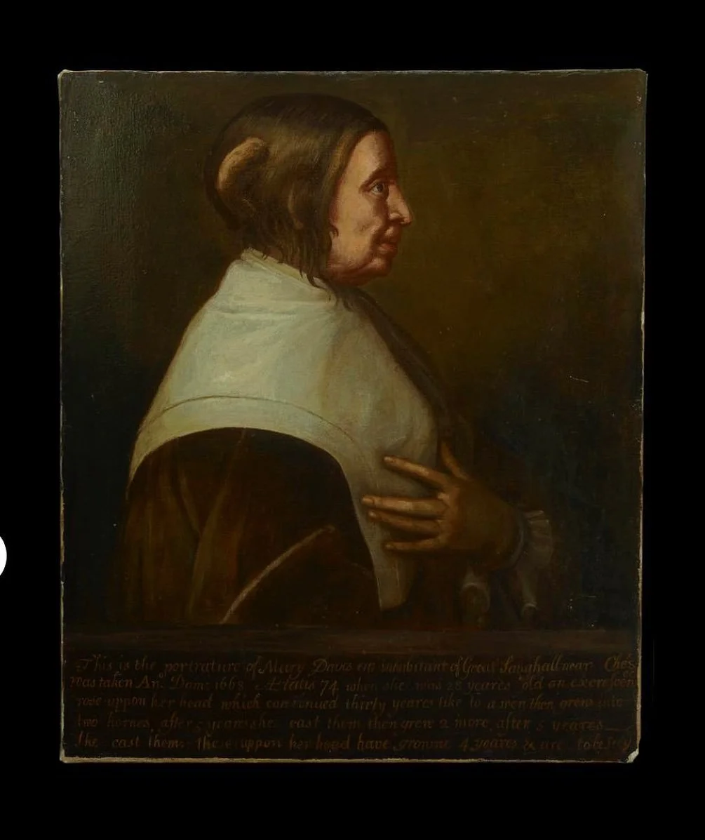 Portrait of Mary Davis (the horned lady) (born c. 1594), aged 74. H.L. in profile to r., wearing dark dress and large white collar Oil painting on canvas

&copy; The Trustees of the British Museum
.
.
.
#britishmuseum
#hornedlady 
#physicalculture