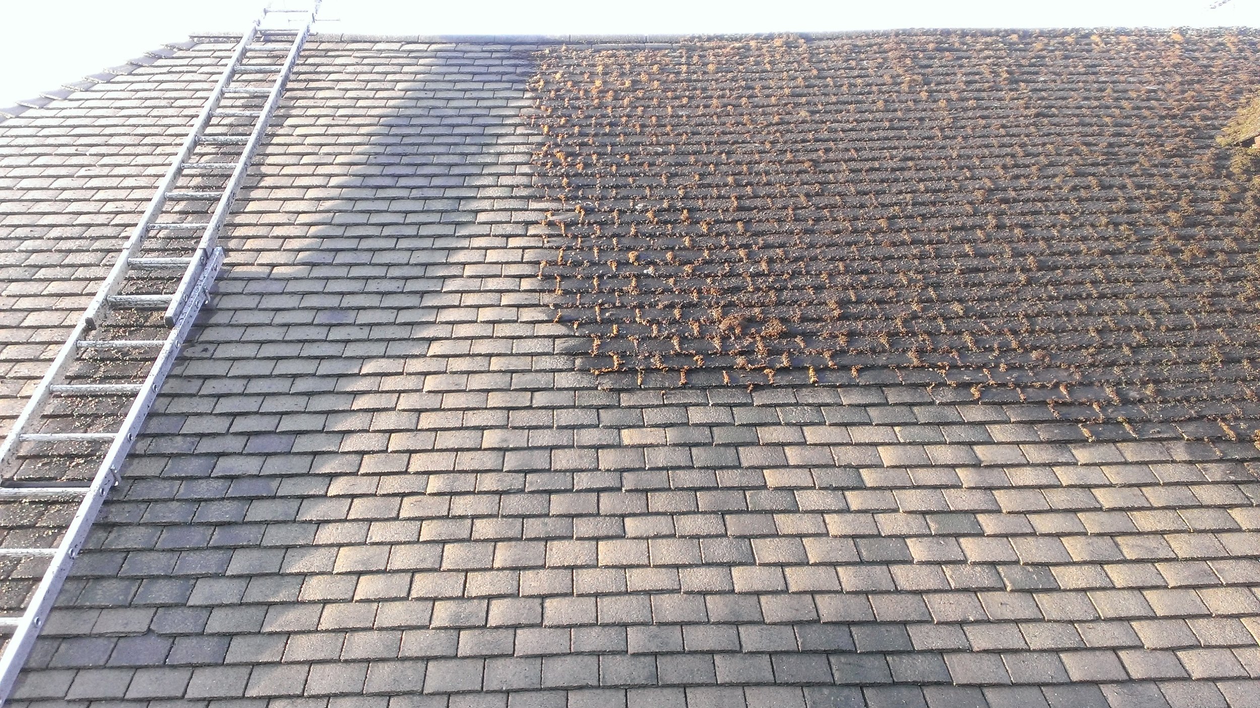  ROOF CLEANING / MOSS REMOVAL   WE CLEAN….. ROOFS - RENDER - PATIOS - DRIVEWAYS-  CONSERVATORIES - GUTTERS - FASCIAS - CLADDING - RENDER    01452 346124  