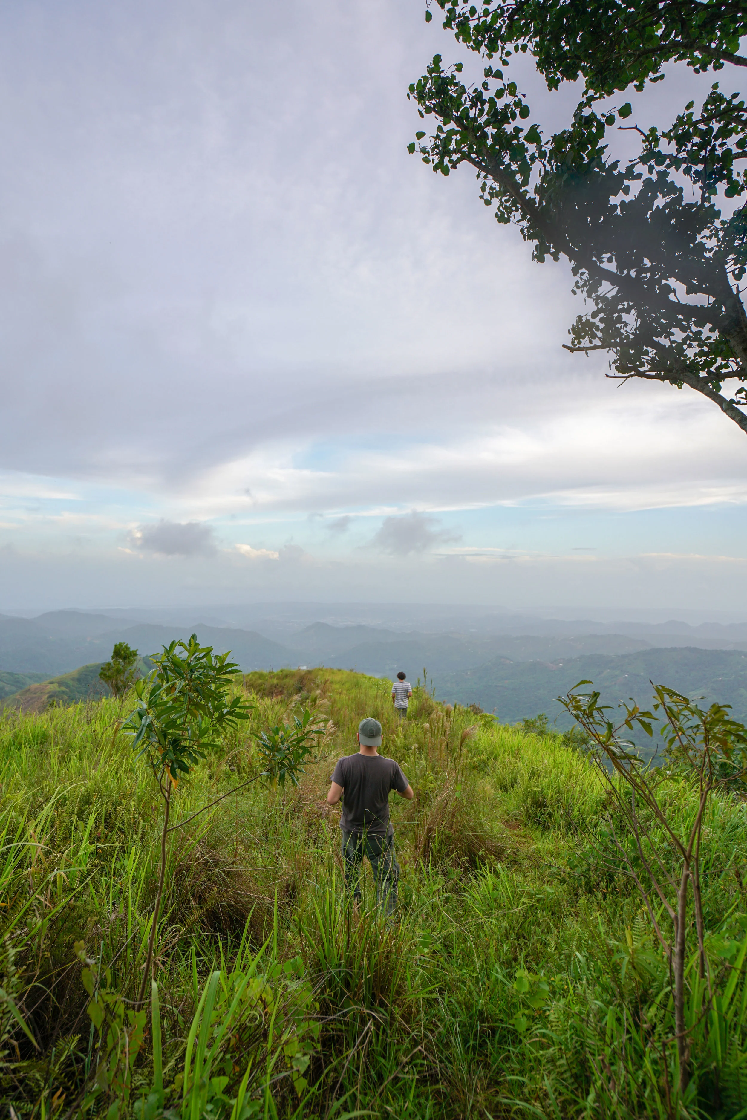 PR_June 15-20_rdcd.jpg