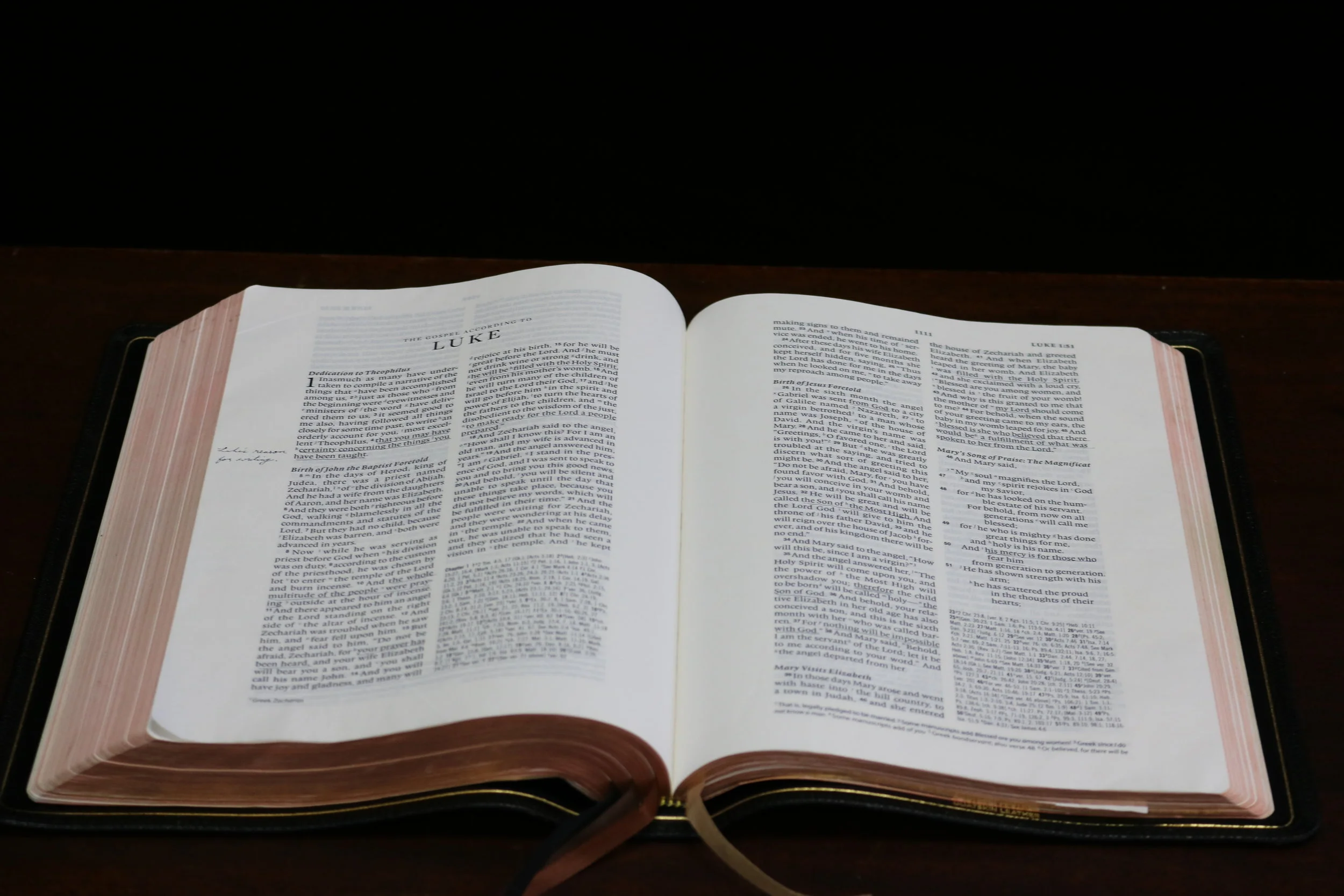 Luke 13:22-35, Strive to Enter, July 21, 2019