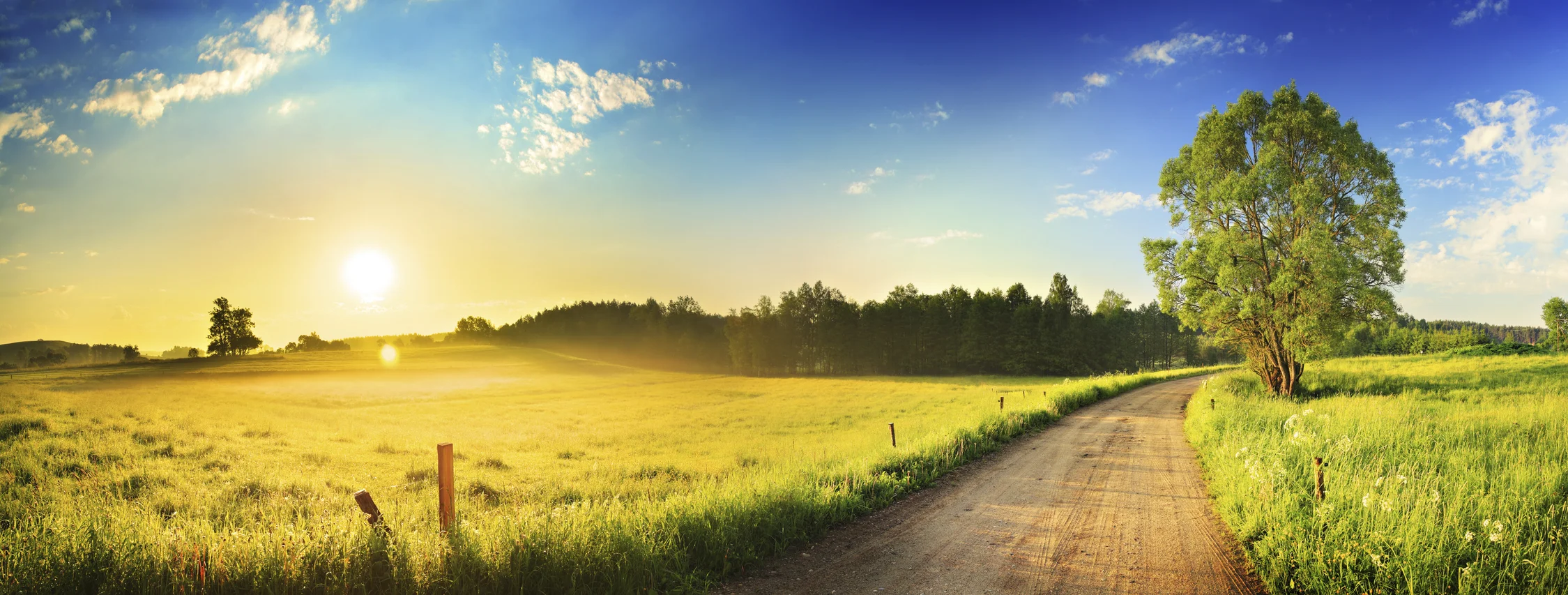 sunrise-road_MEDIUM.jpg