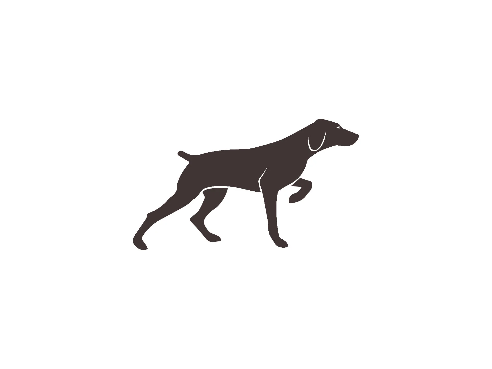 pointer-executive-search-logo.jpg