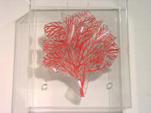 Arbol - Private Collection 6"x5"x3.5"