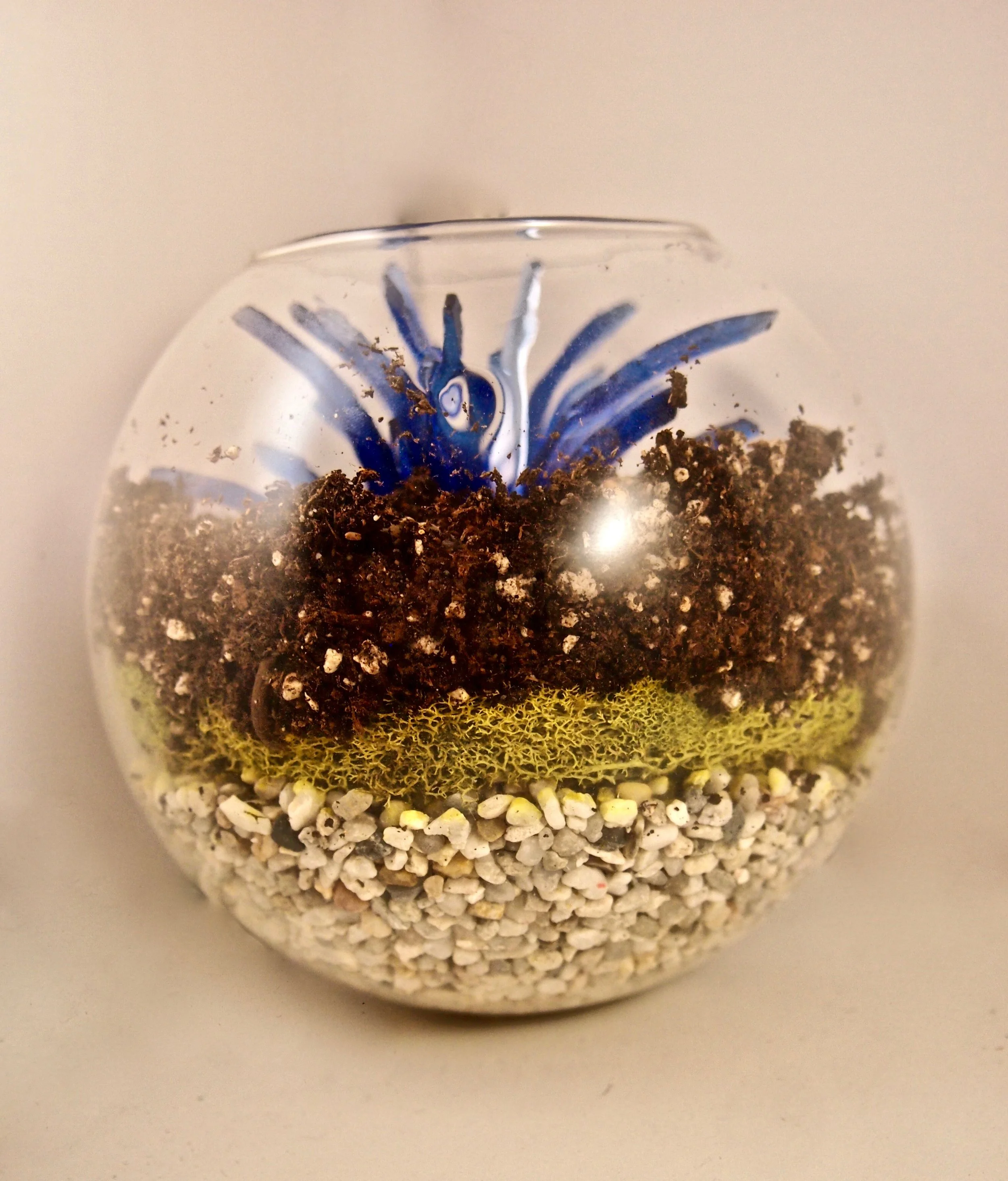 Terrarium 3 - Blue Floral 5"x5"x3"