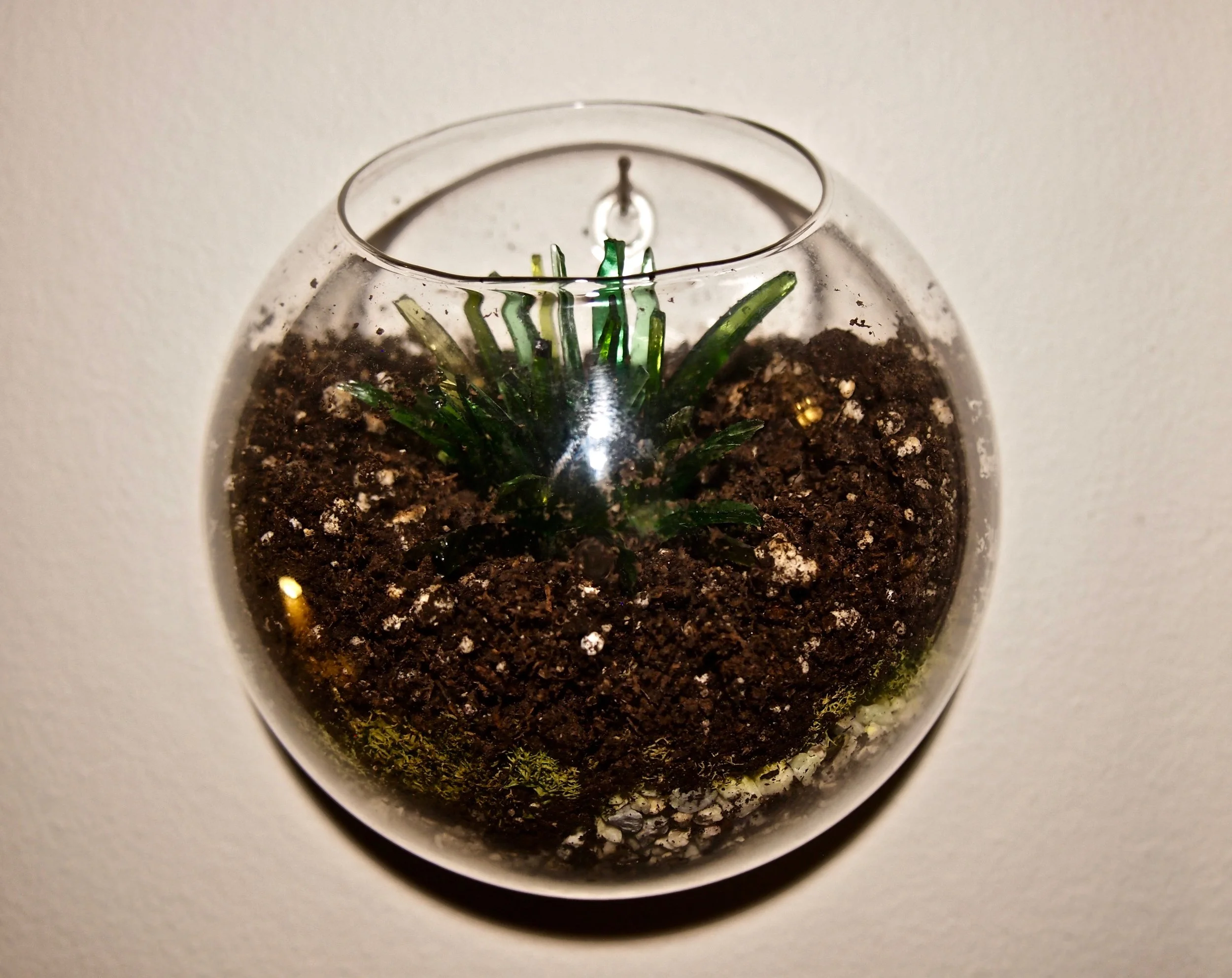 Terrarium 4 5"x5"x3"