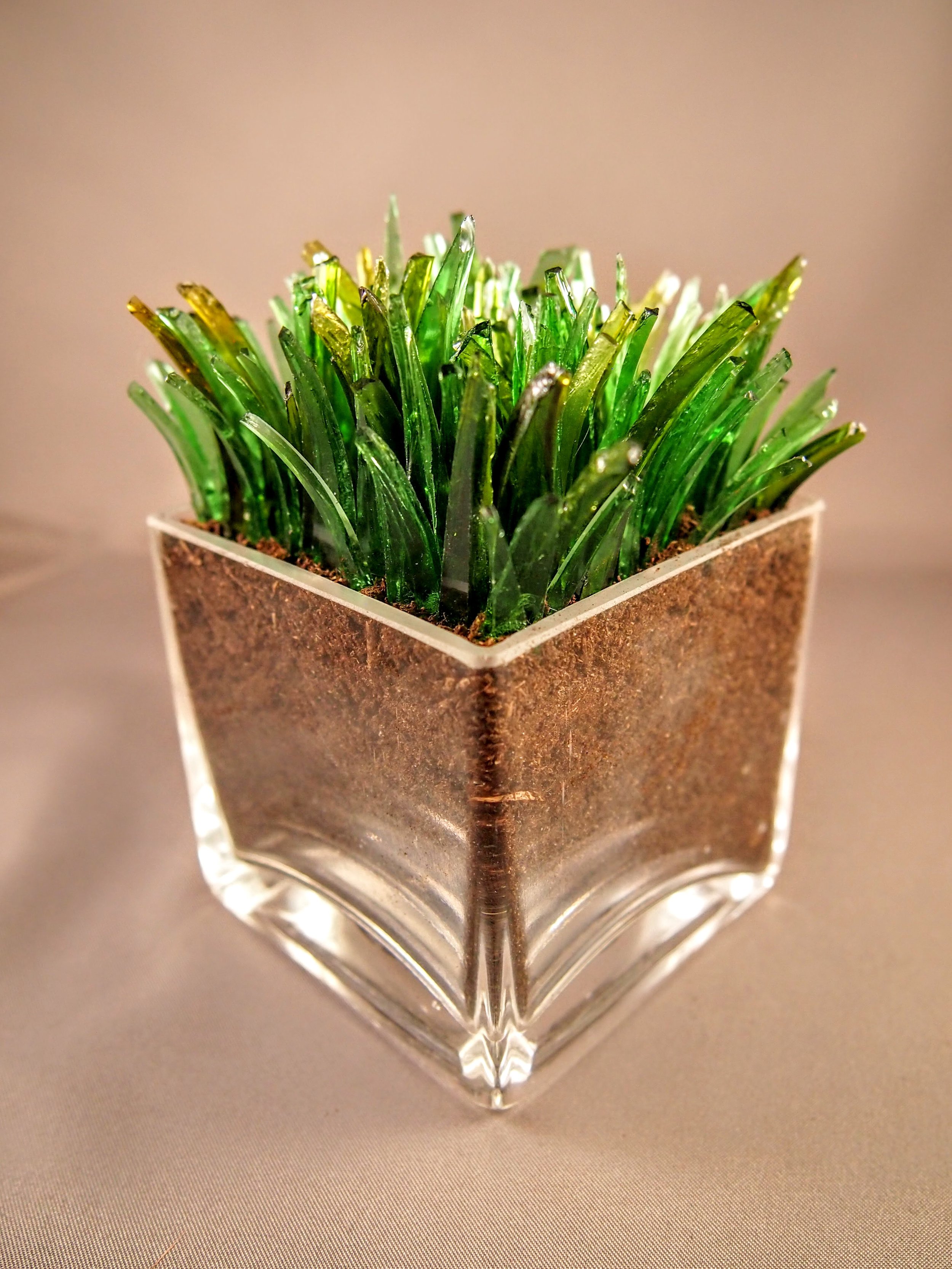 A Little Piece Of Grass1.jpg