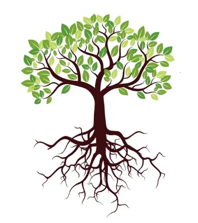 LENYIS Tree logo.jpg