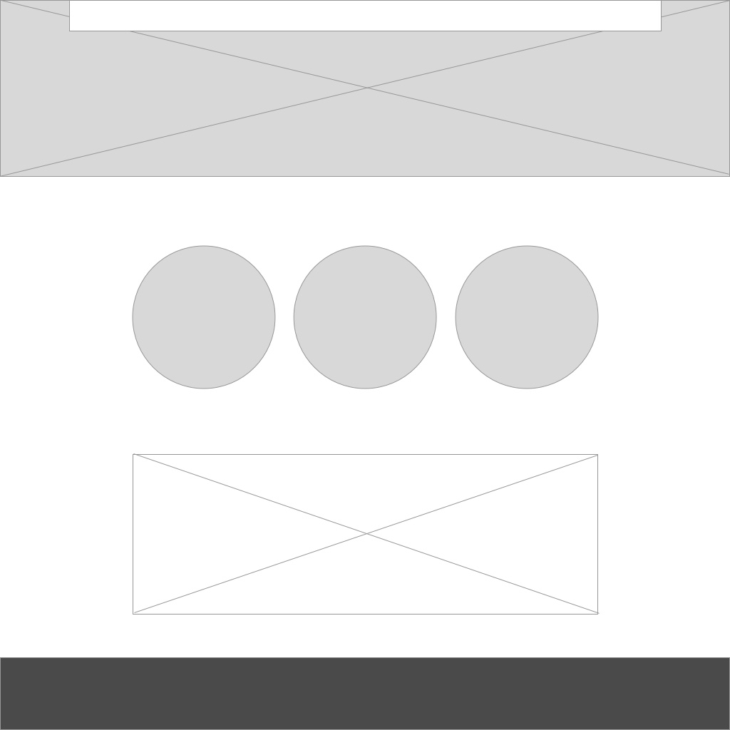 Julia Run Homepage wireframe.jpg
