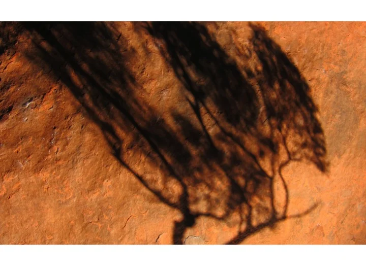 Now you see it, now you don't