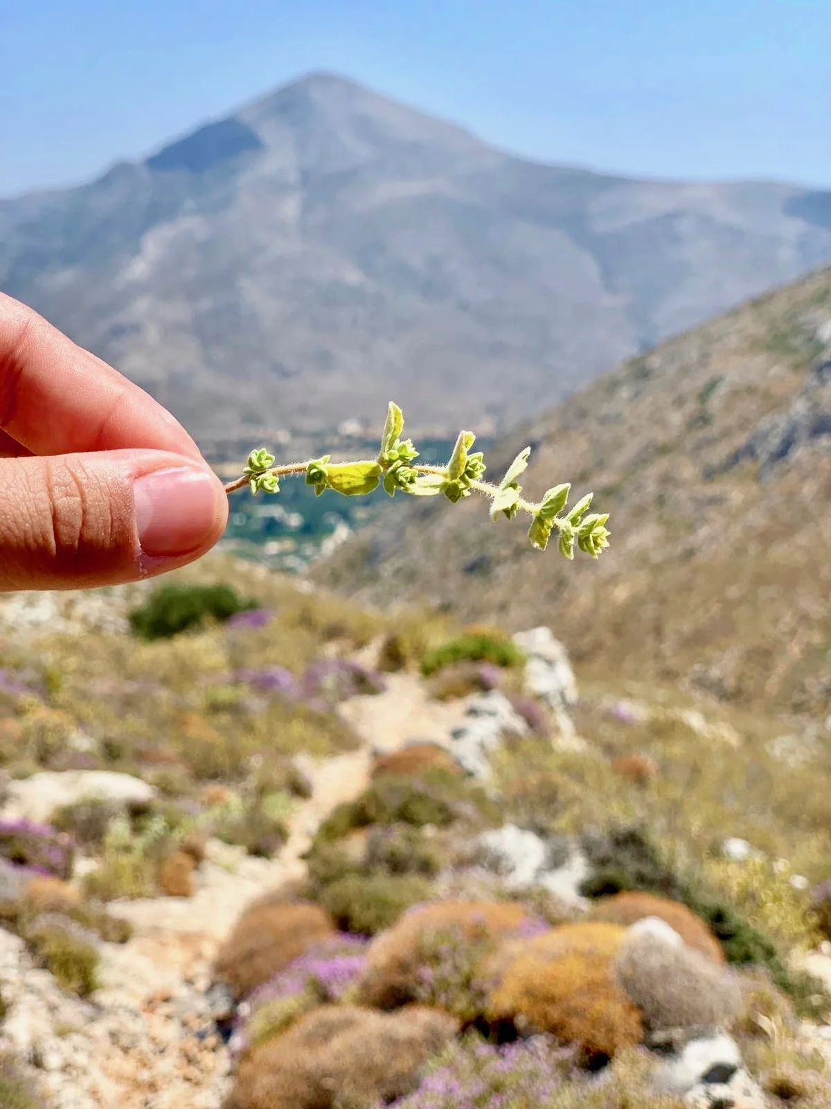 The 5 Smells That Instantly Transport Me Back to the Boat