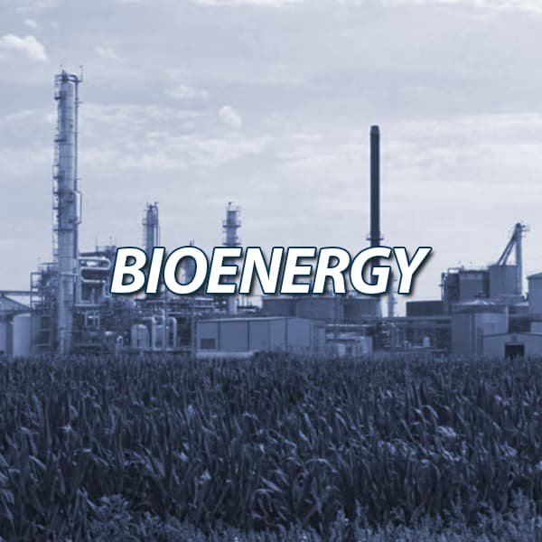 industry bioenergy.jpg
