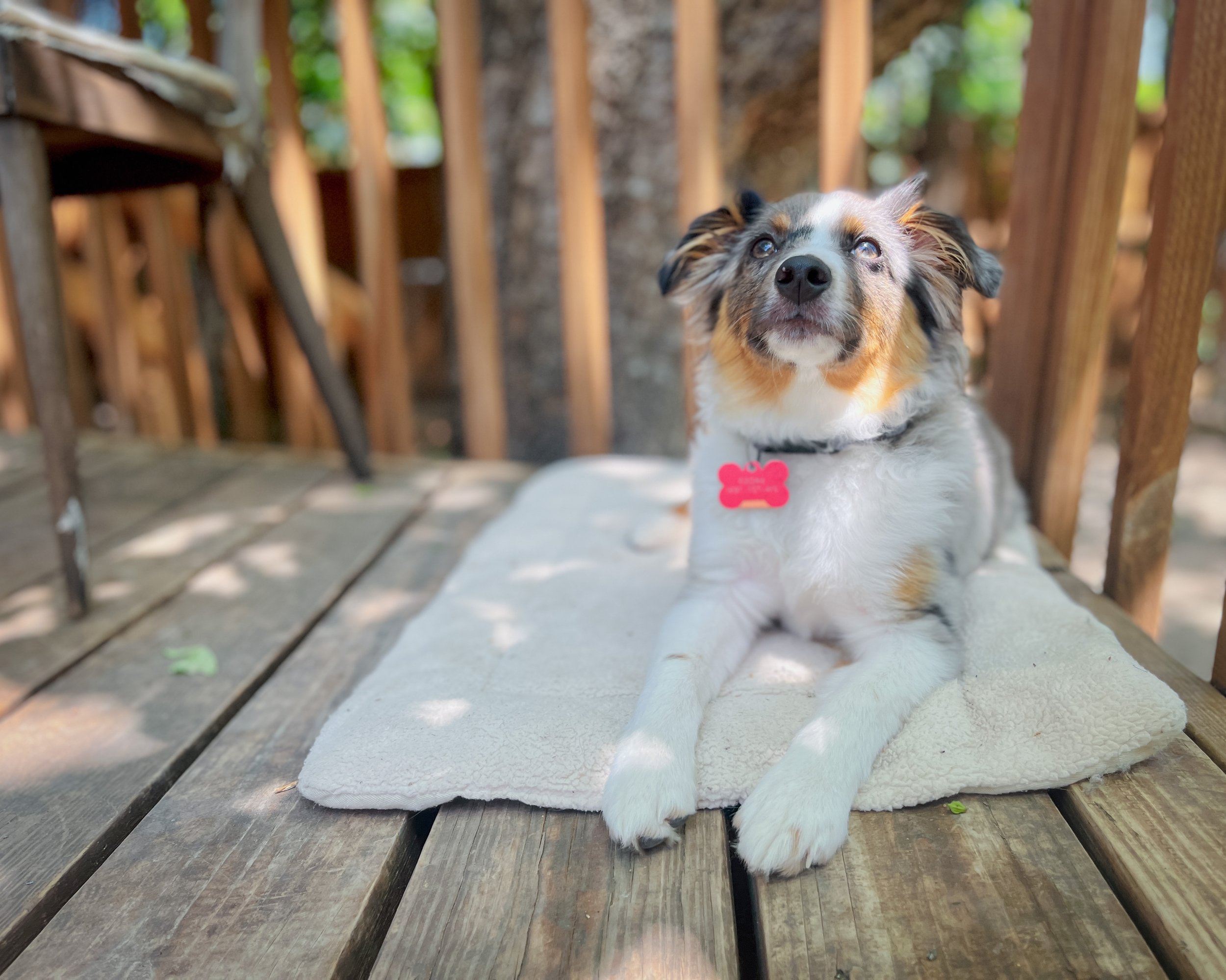 The Relaxation Protocol