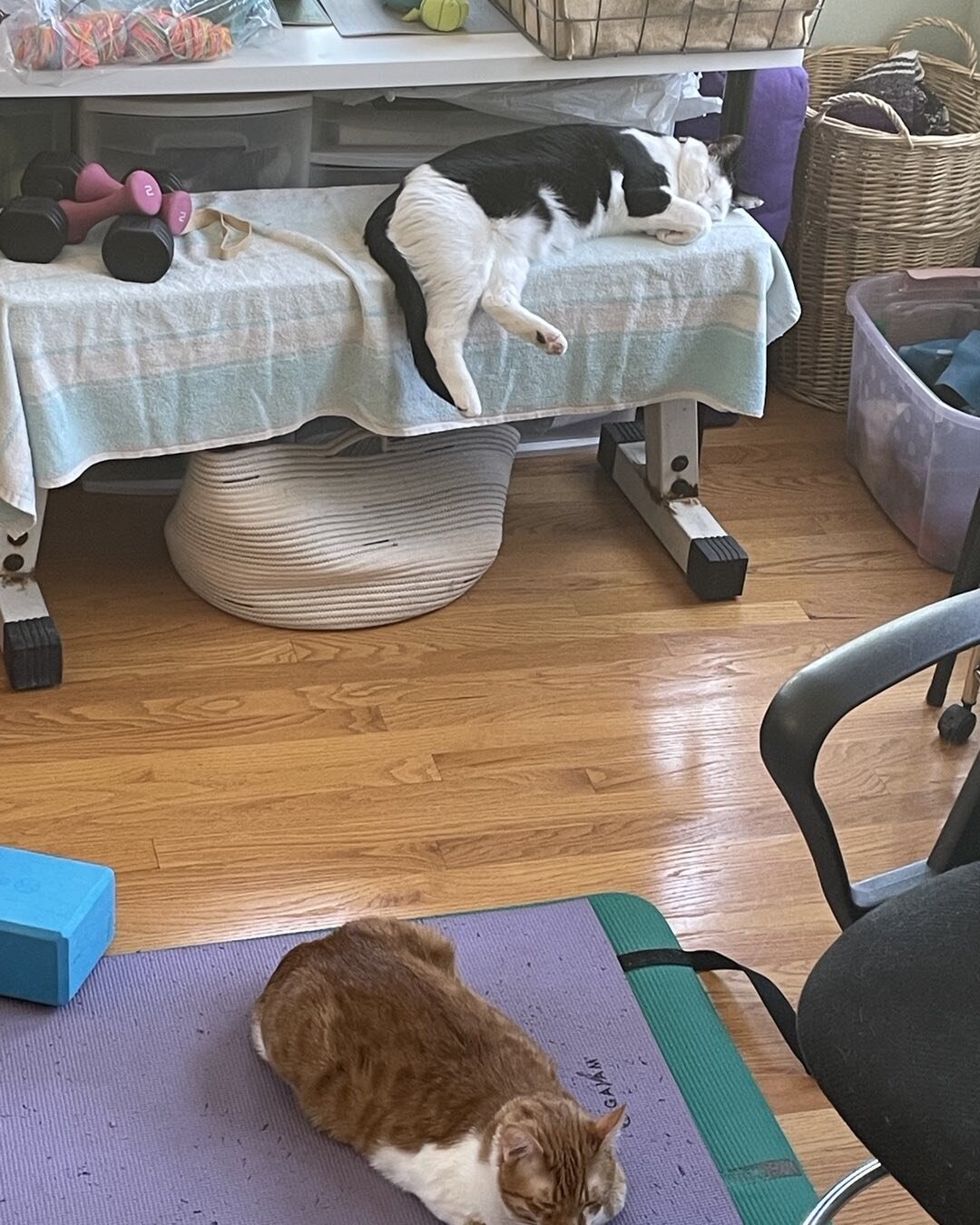 They&rsquo;re always exhausted after yoga