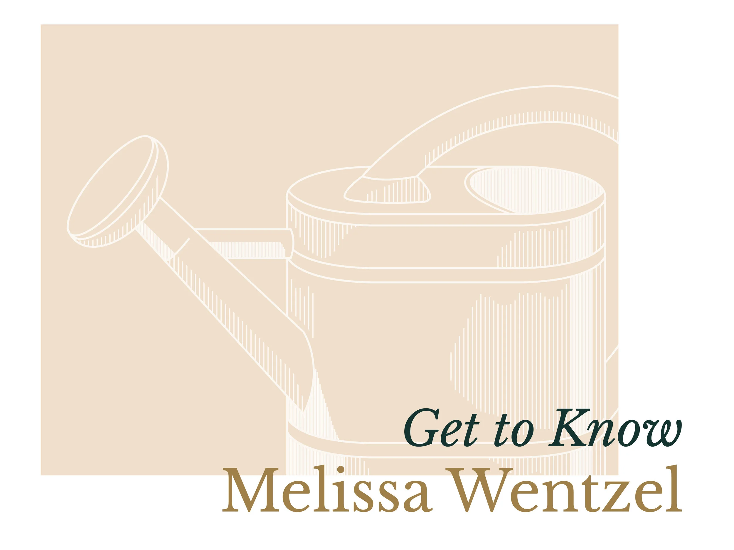 CW Jan Interview Banner 3.jpg