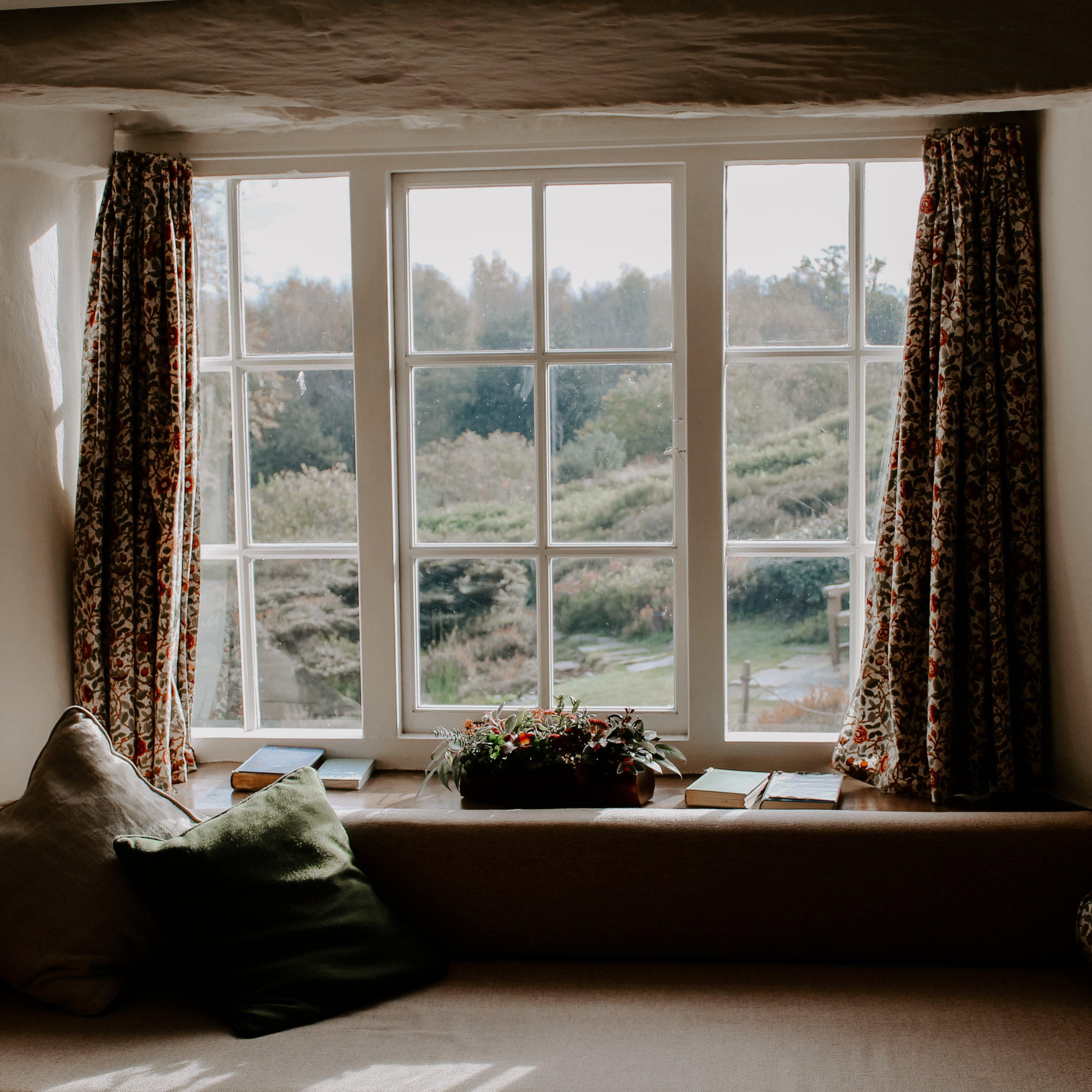 What We Can Learn from Our Longing