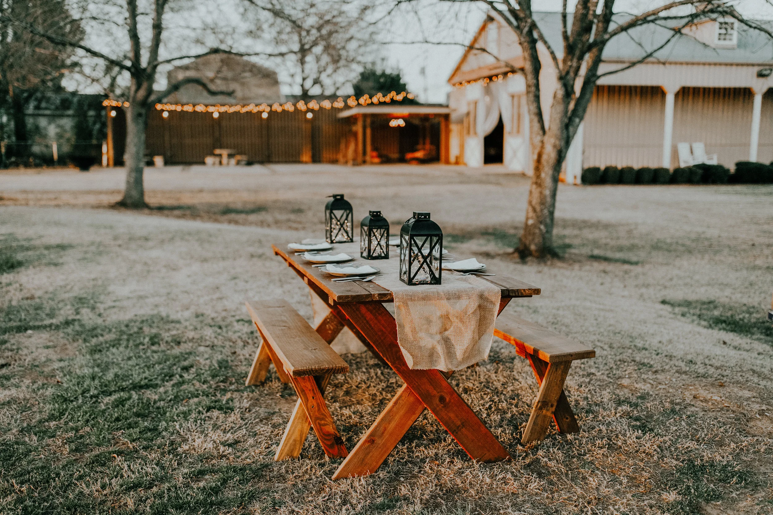 hannah-busing-592809-unsplash-1.jpg