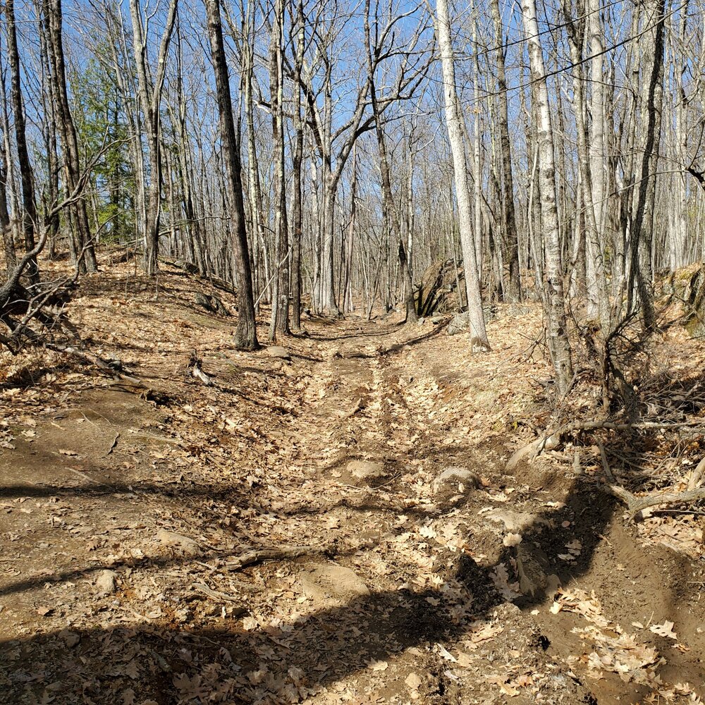 Old Road Up Fall Mountain