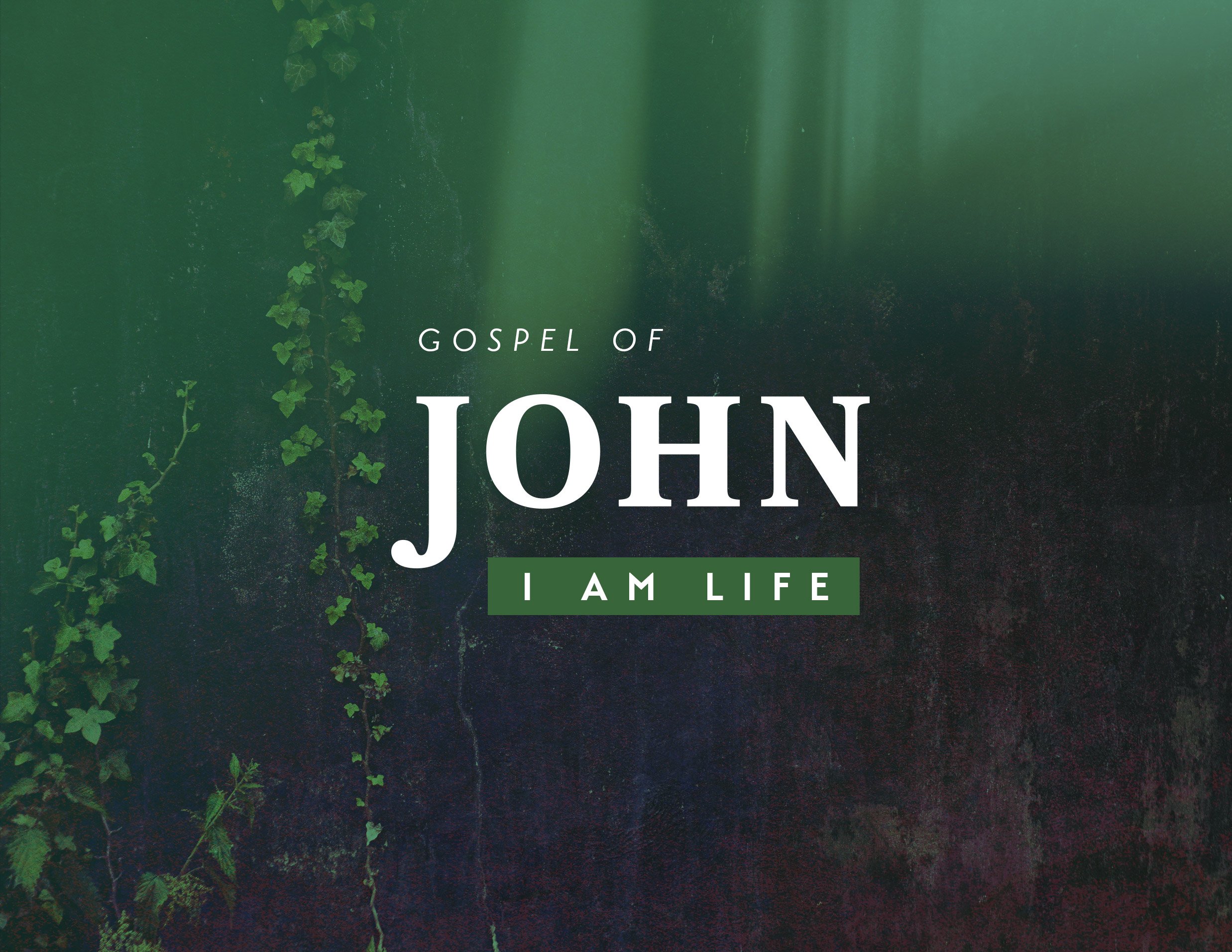 GospelofJohn_IamLife.jpg