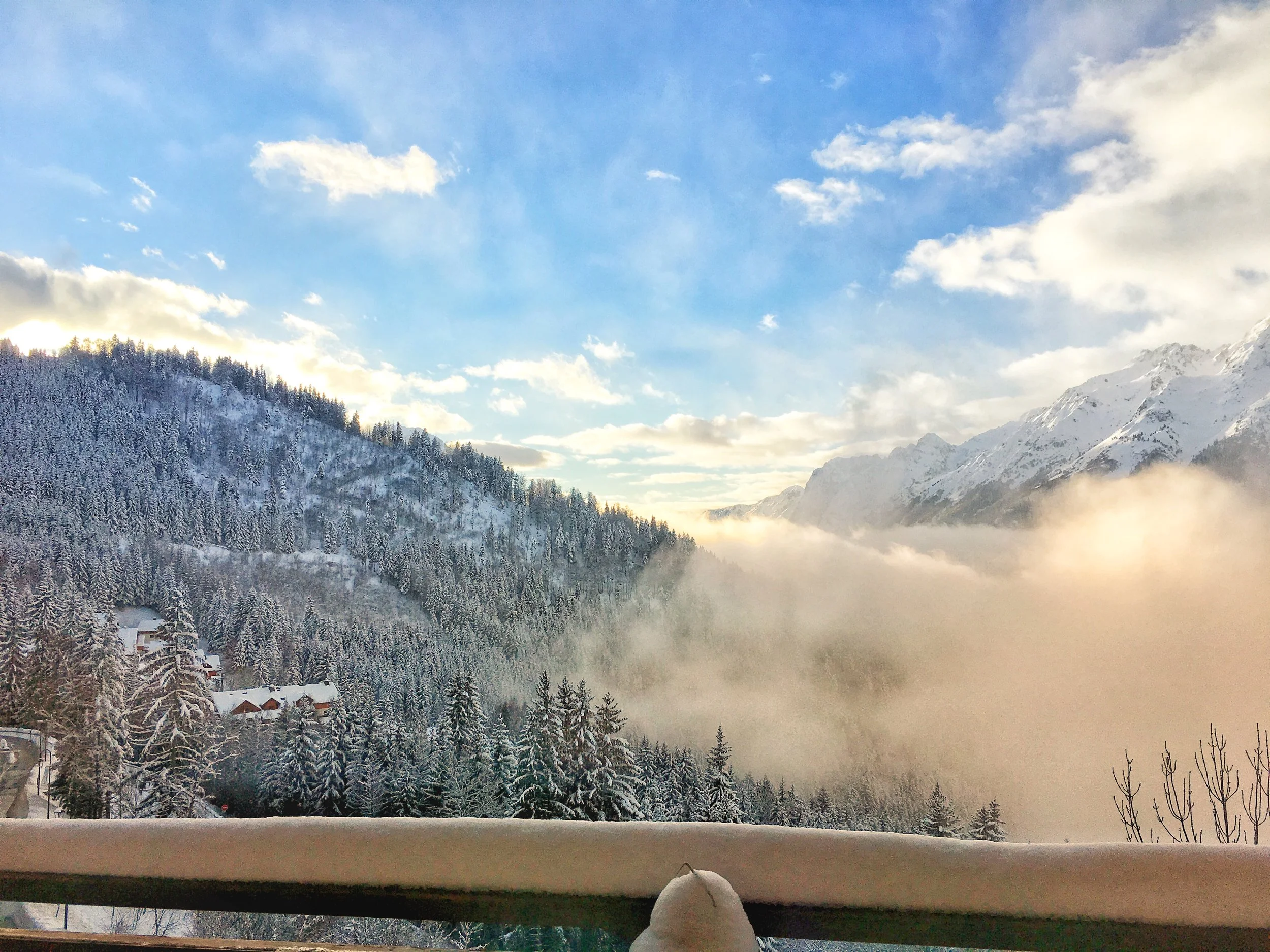 JPEG image-BAF6A9052F81-1.jpeg