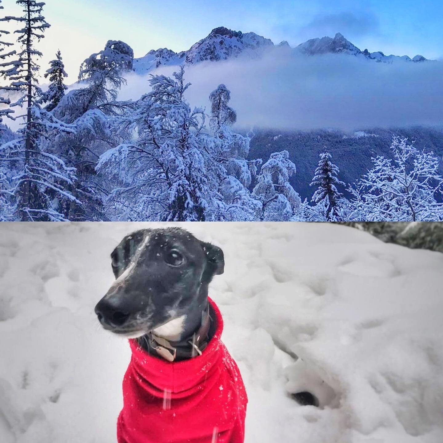 It&rsquo;s been a little while and a lot has changed ! We look to the winter watching, wishing and remaining hopeful that we can once again all enjoy some time in the mountains. We hope to be more active on here in the coming weeks as we navigate the