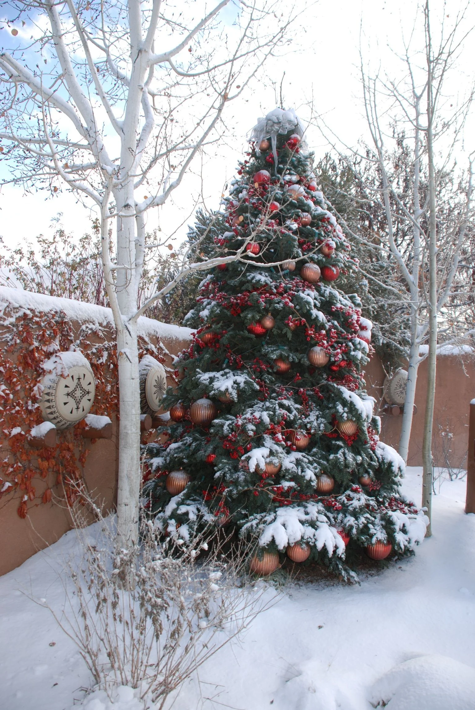 Albuquerque Christmas