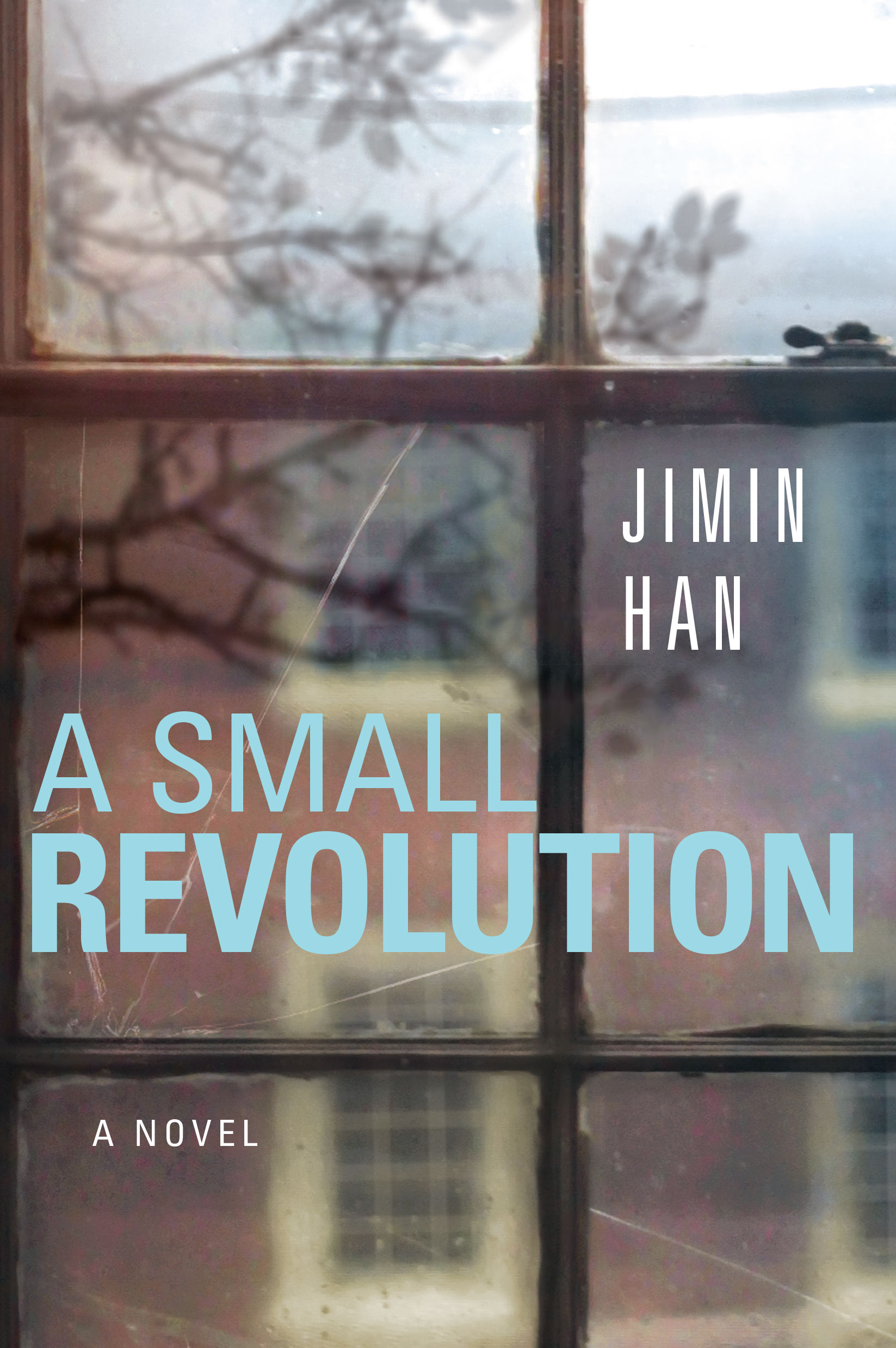  “We’ve all wondered what it’s like inside the rooms where the horrors unfold. Jimin Han’s relentless, timely  A Small Revolution &nbsp;grabs you by the collar and pulls you inside, then back through her sympathetic character’s history to answer that