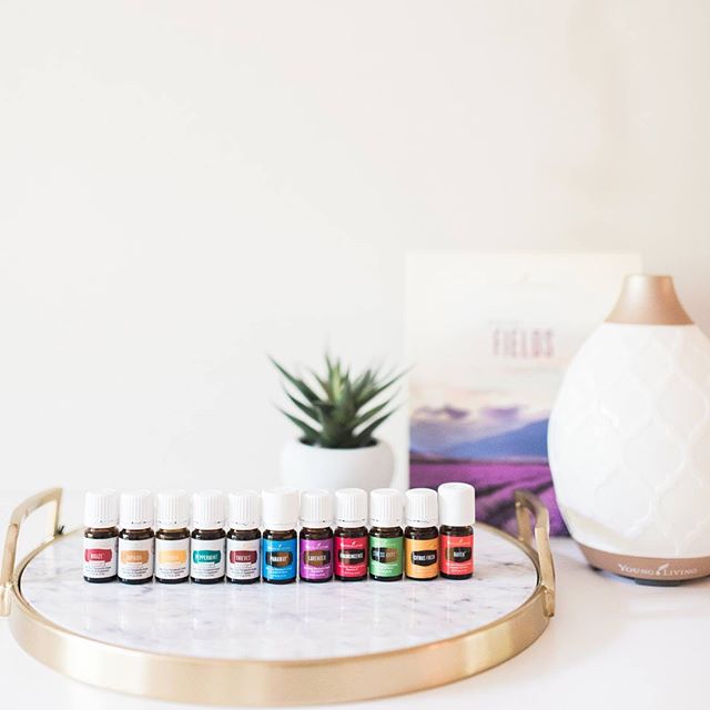 I am freaking out over here! See those beauties there? And that gorgeous Desert Mist diffuser (scroll to see Dew Drop)? You can get allll that (11 everyday essential oils) + enough Thieves household cleaner to make a full spray bottle + 2 packets of 