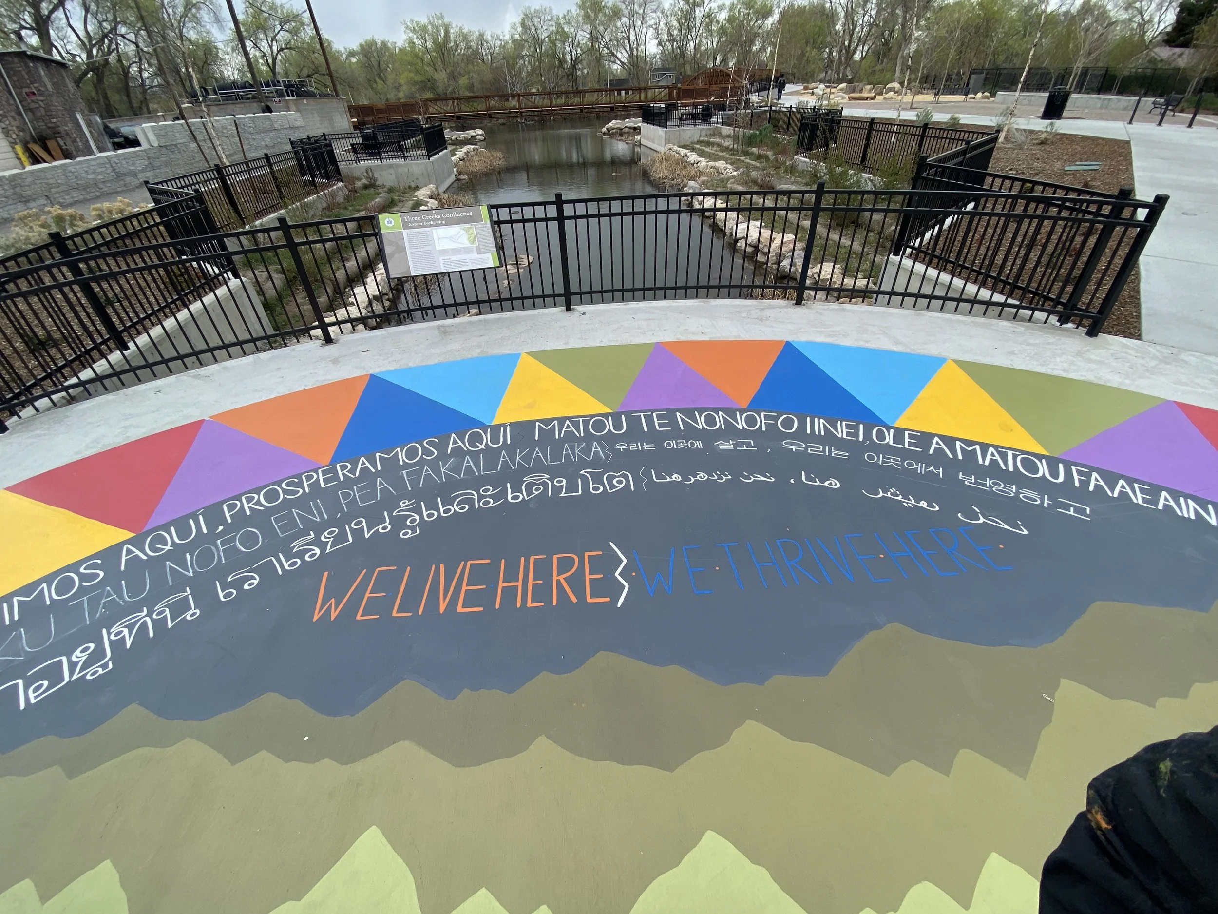 image_50429953 copy.JPG