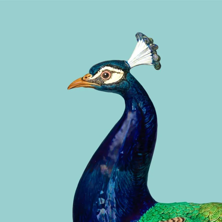 MEMBERS' TOUR: Majolica Mania at the Walters Art Museum with Jo Briggs