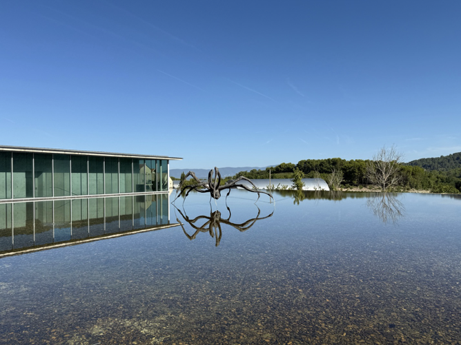 Tadao Ando — Art Seminar Group