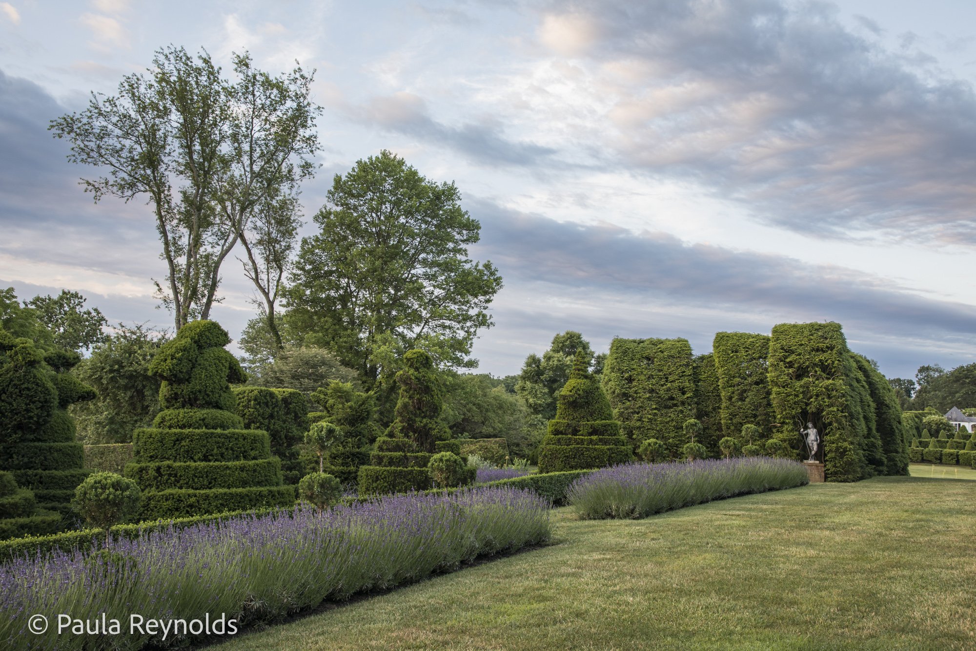 ASG_9.25.25 Paula Reynolds 1.jpg