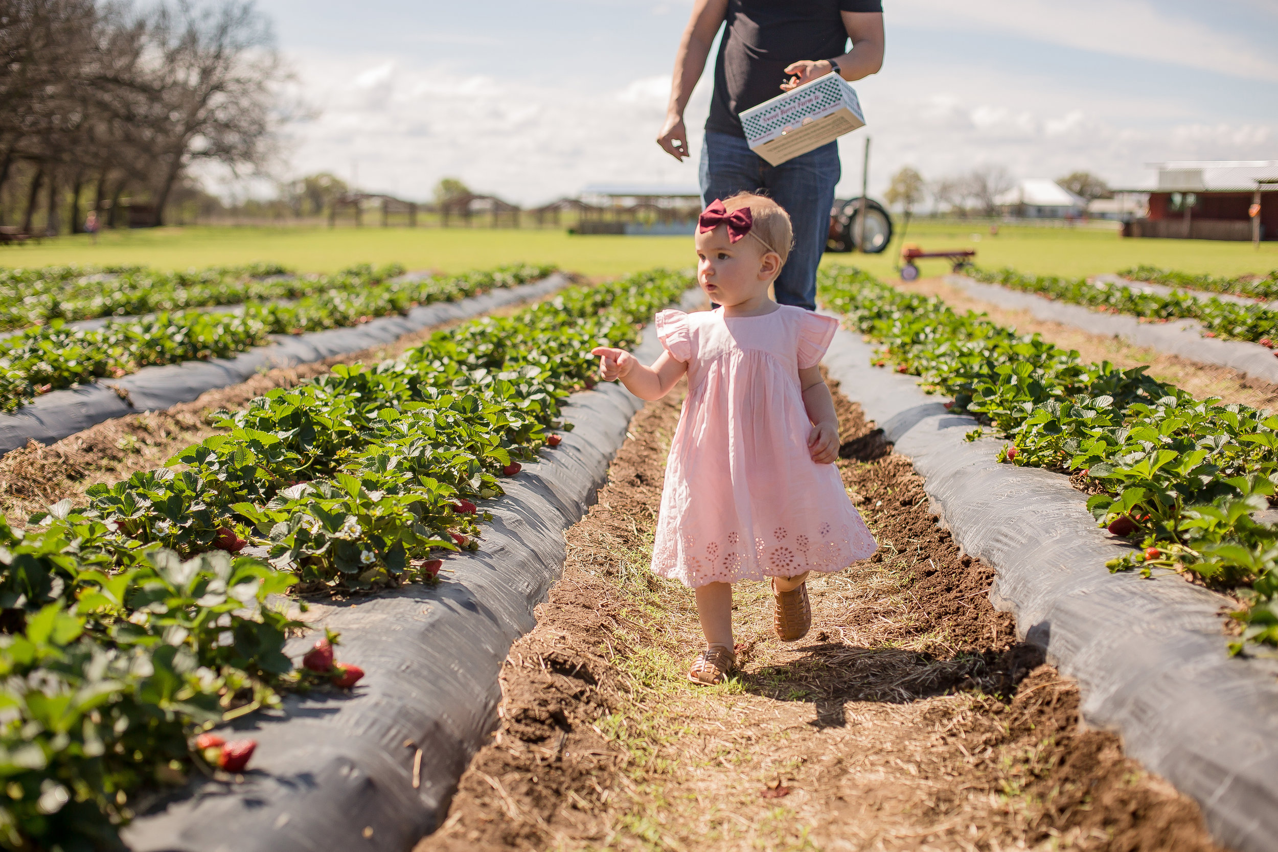 Marble_Falls_Sweetberry_Farm_02.jpg